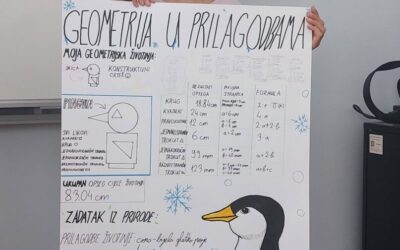 GEOMETRIJA U PRILAGODBAMA