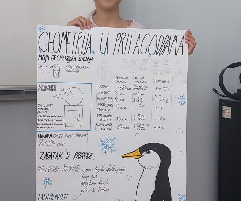 GEOMETRIJA U PRILAGODBAMA
