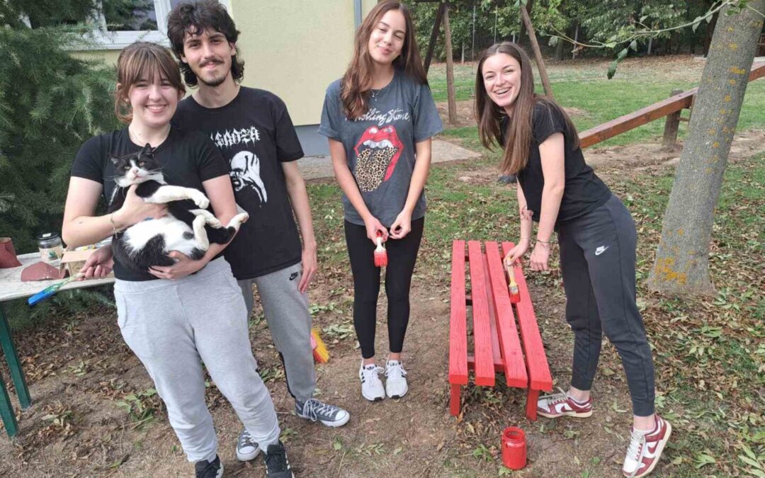 “72 SATA BEZ KOMPROMISA” – VOLONTERI U AKCIJI