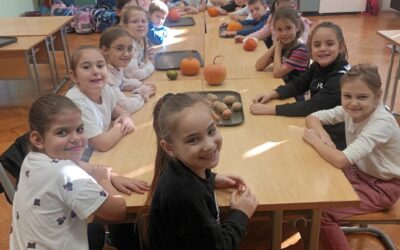 DOMAĆINSTVO U NAŠOJ ŠKOLI S KRALJICOM JESENI – BUNDEVOM