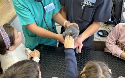 KUĆNI LJUBIMCI NISU IGRAČKE