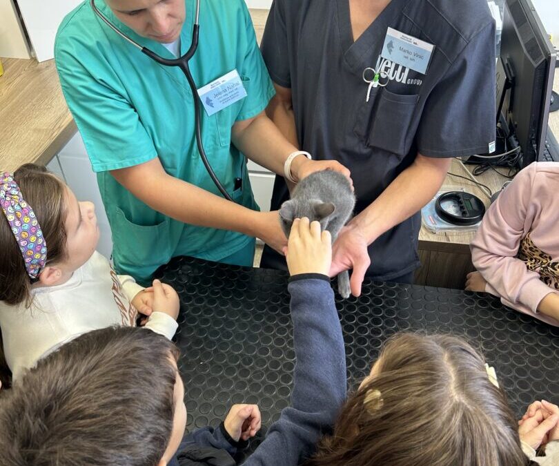 KUĆNI LJUBIMCI NISU IGRAČKE