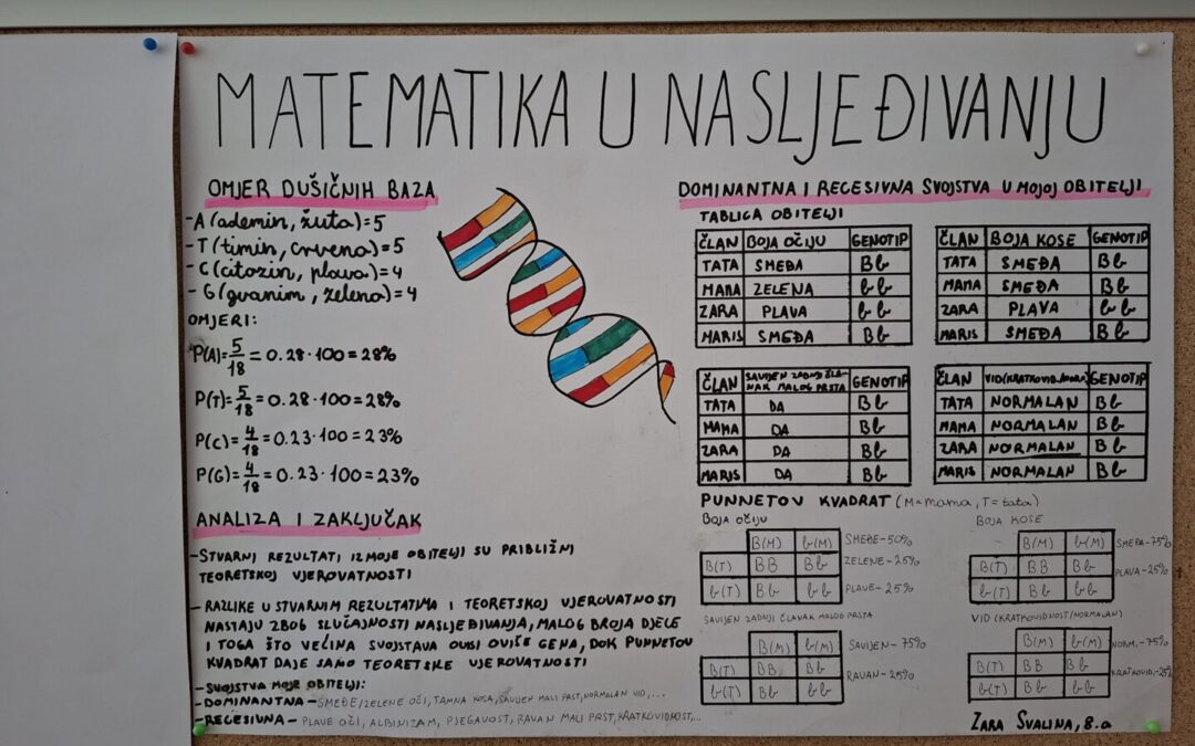 Osmaši istražuju genetiku: „Matematika u nasljeđivanju“