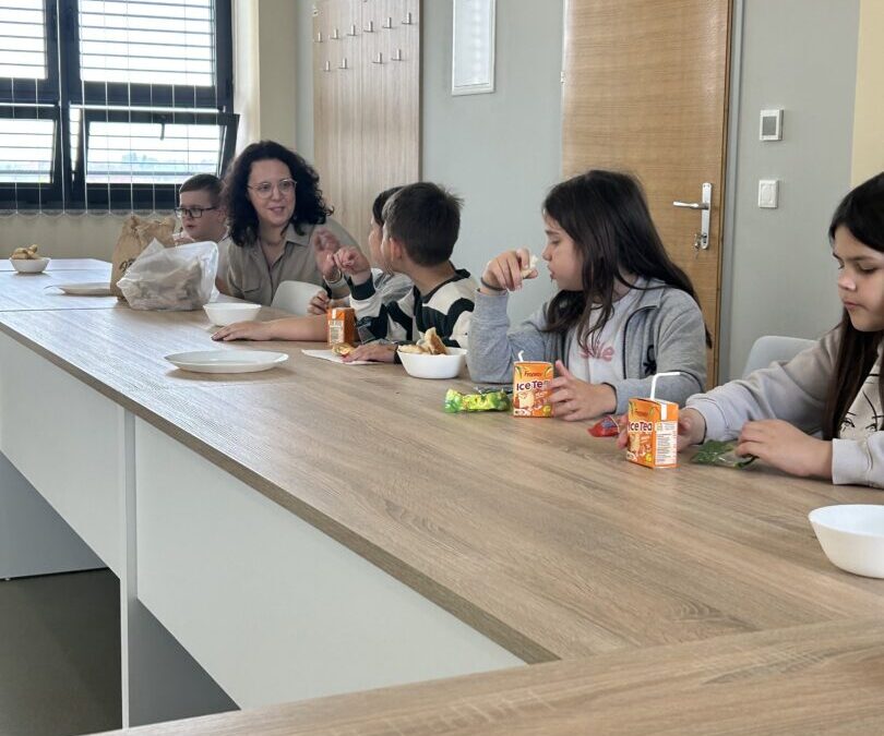 POSJET HRVATSKOM ZAVODU ZA SOCIJALNI RAD (projekt Iza zidova)