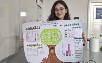 Obiteljsko stablo u znaku brojeva – povezivanje matematike i prirode kroz projektni zadatak