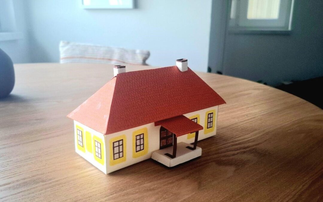 Peti razredi (TEHNIČKA KULTURA) u sklopu školskog projekta IZA ZIDOVA